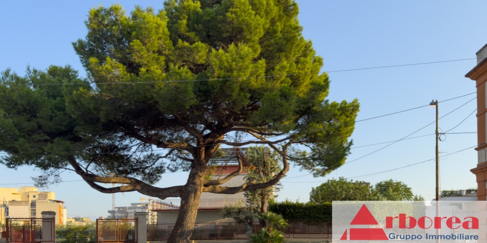 opificio capannone artigianale via conversano a rutigliano bari