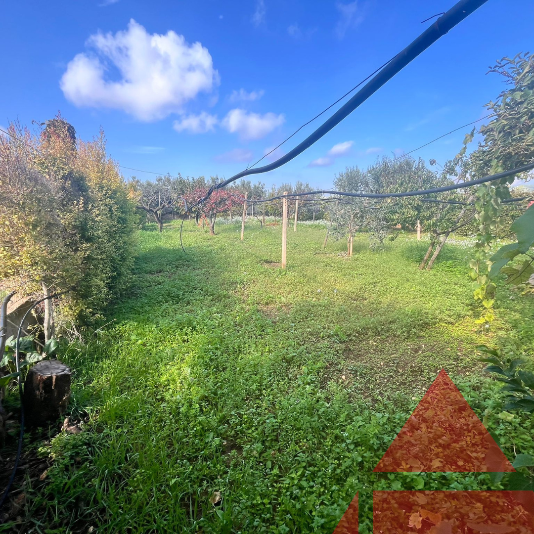 opificio capannone artigianale via conversano a rutigliano bari