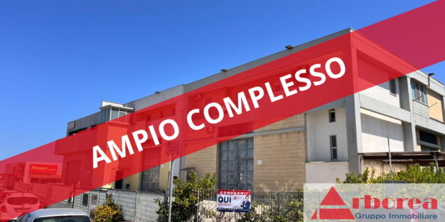 Ampio complesso artigianale con appartamenti a Rutigliano (via Noicattaro zona Penny)